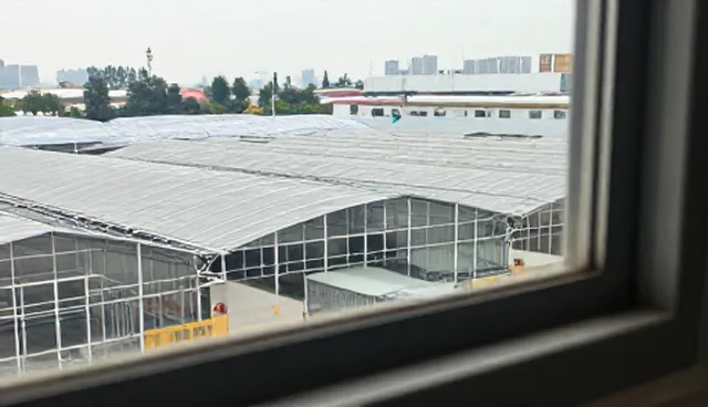 远程健康咨询中检查要点对比与实际选择
